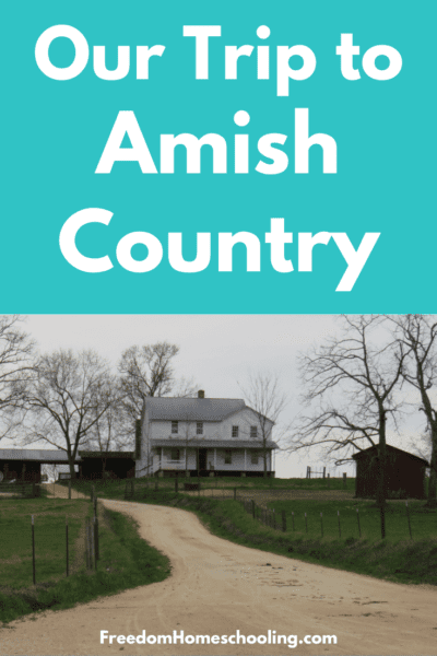 Our Trip to Amish Country: Ethridge, TN