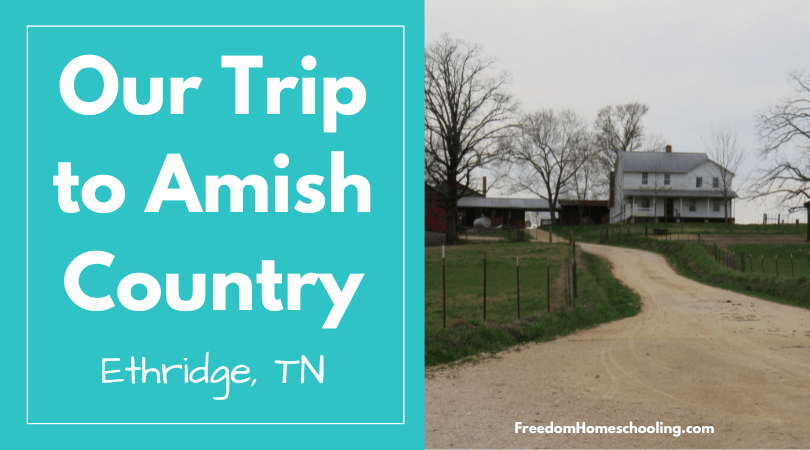 Our Trip to Amish Country