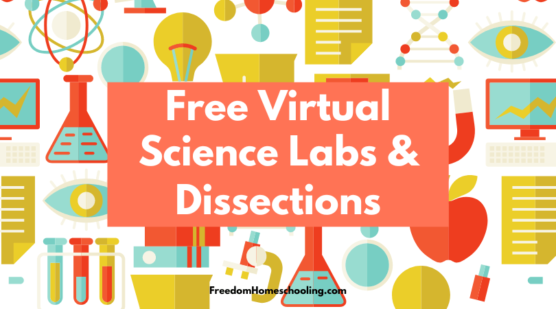 Virtual Science Labs And Dissections - Freedom Homeschooling