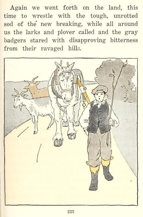 The New Barnes Readers: Book Six