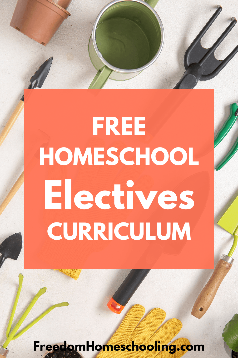 Free Homeschool Electives Curriculum