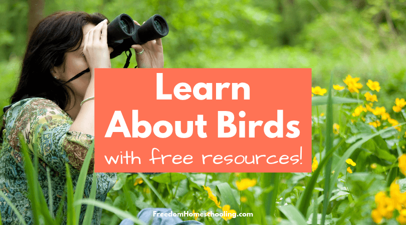 Learn About Birds With Free Resources