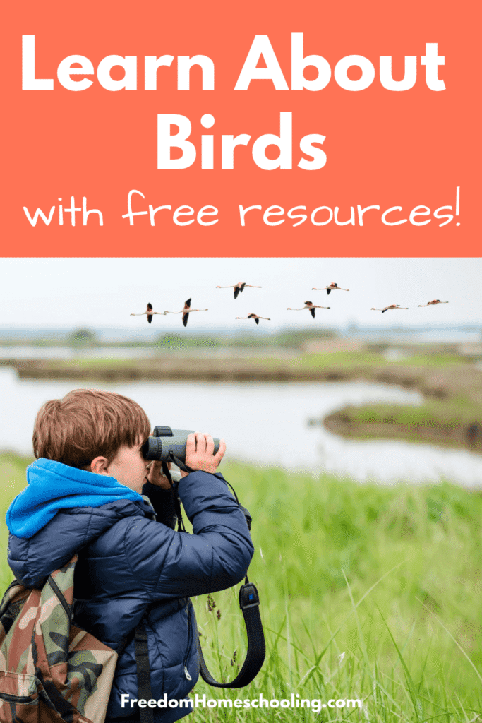 Learn About Birds With Free Resources